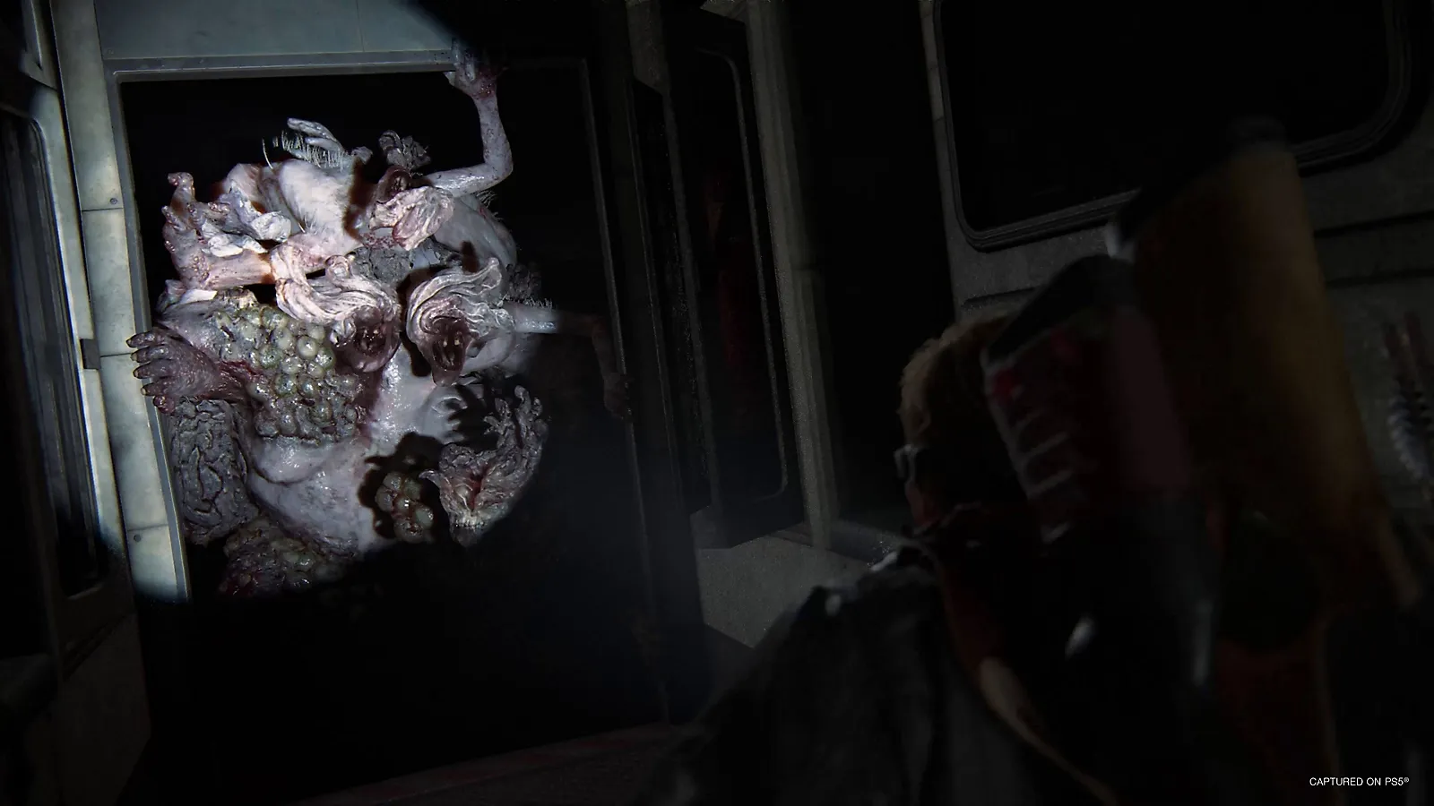 the-last-of-us-part-ii-remastered-wm-screenshot-05-en-21nov23